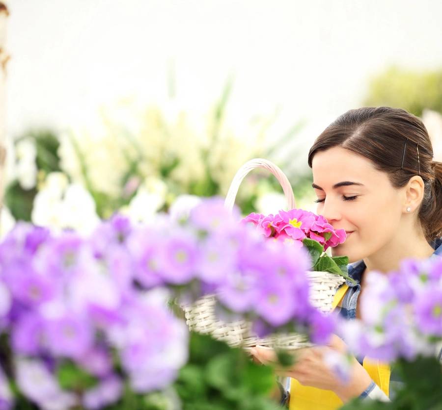 springtime woman in flowers garden smell the primroses in wicker basket